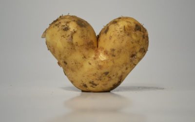Neue Kartoffeln von Hägeles