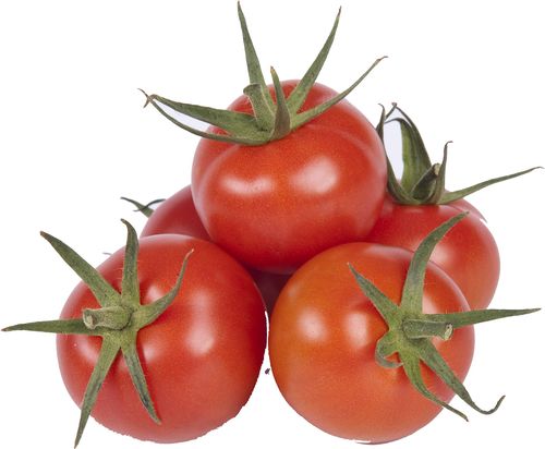 Insel-Perle Tomaten