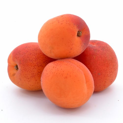 Aprikosen aus der Region